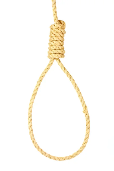 stock image Suicide Noose isolated on white