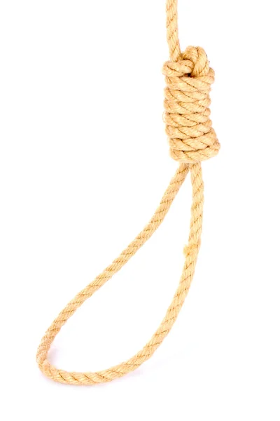 Suicide Noose isolated on white — Stock Photo, Image