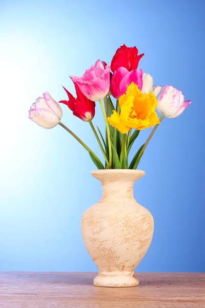 Tulpaner i vas på blå bakgrund — Stockfoto