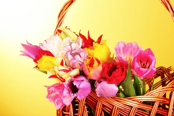 Tulipany na żółtym tle — Zdjęcie stockowe