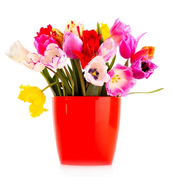 Tulips in vase isolated on white — Stock Photo, Image
