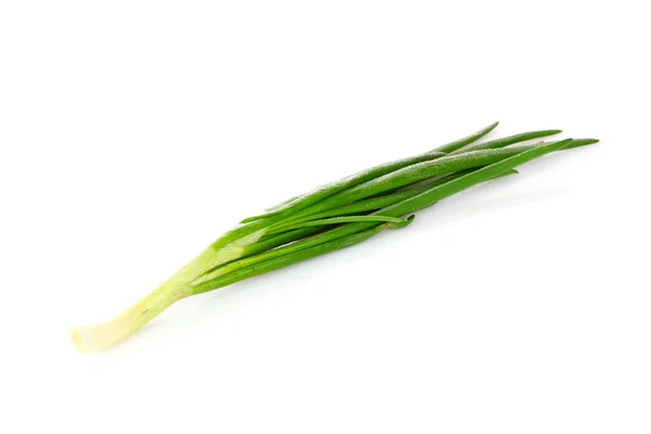 Cebola verde isolada em branco — Fotografia de Stock