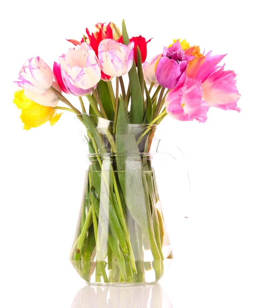 Tulpaner i vas isolerad på vit — Stockfoto