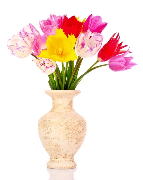 Tulpaner i vas isolerad på vit — Stockfoto