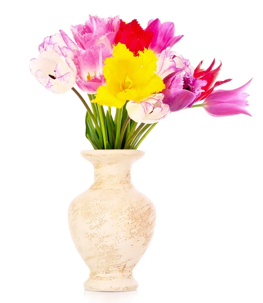 Тюльпаны в вазе изолированы на белом — стоковое фото
