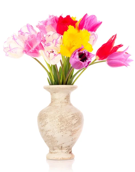 Tulipanes en jarrón aislados en blanco — Foto de Stock