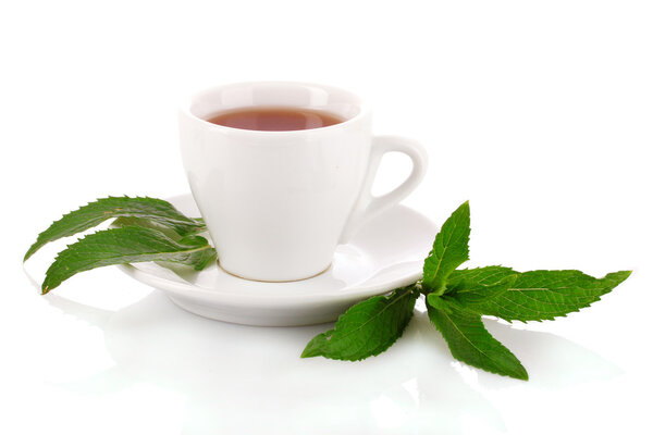 Cup with mint isolated on white