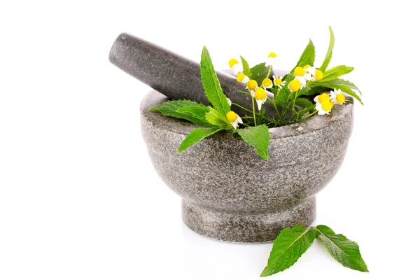 Stone pestle and mortar with chamomile and mint isolated on whit — Stock Photo, Image