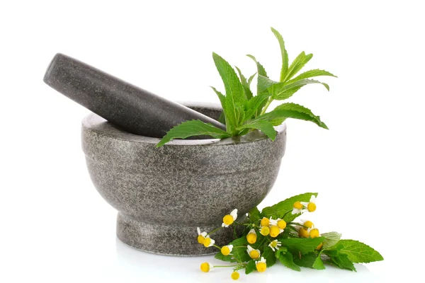 stock image Stone pestle and mortar with chamomile and mint isolated on whit