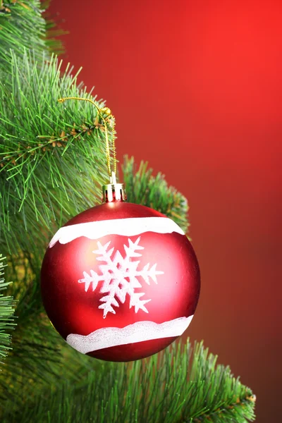 モミの木の美しい赤いクリスマス ボール — ストック写真