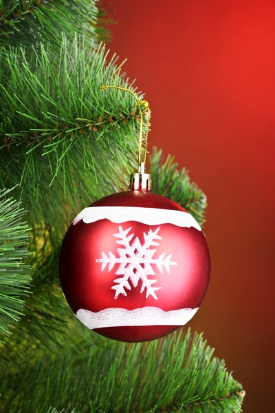 Krásné vánoční červený míč na jedle — Stock fotografie