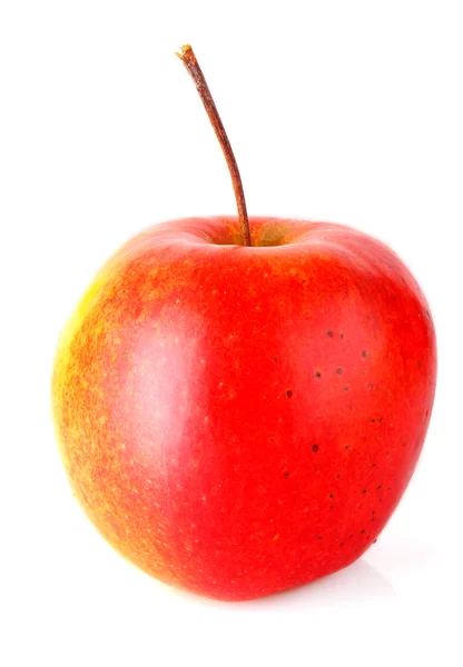 Ein Apfel isoliert auf weiß — Stockfoto