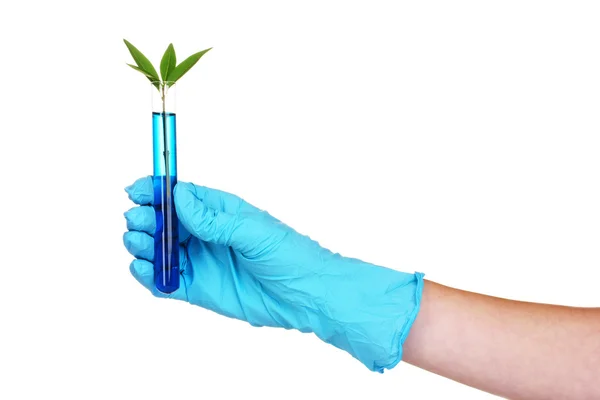 Hand with a test tube and plant — Stock Photo, Image