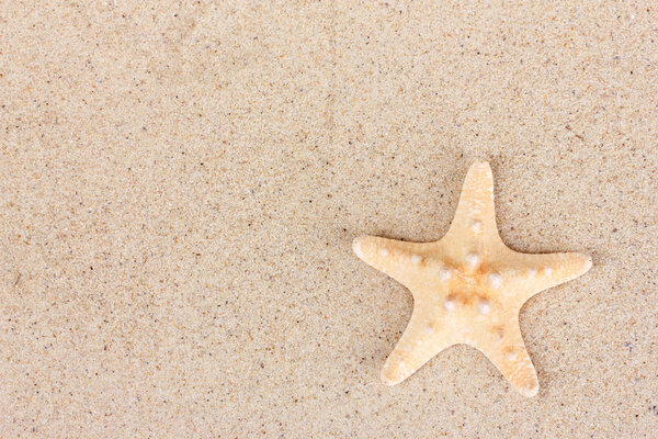 Beautiful red starfish on sand