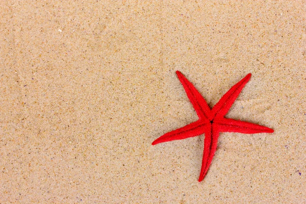Schöne rote Seesterne auf Sand — Stockfoto