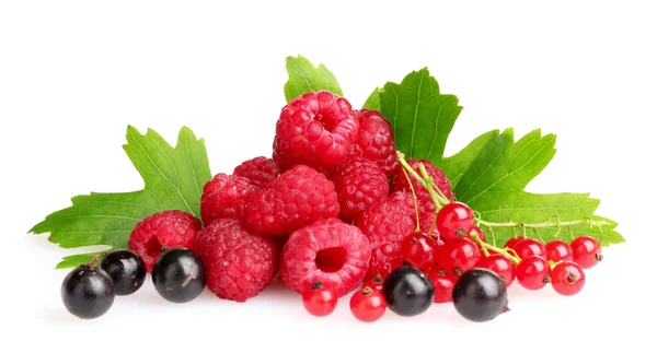 Fresh raspberries, blackcurrant, and leaves — Stock Photo, Image