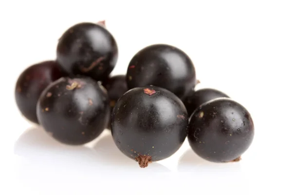 Fresh black currant — Stock Photo, Image