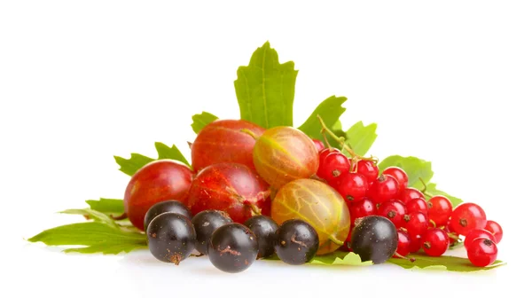 Čerstvé lahodné letní plody — Stock fotografie