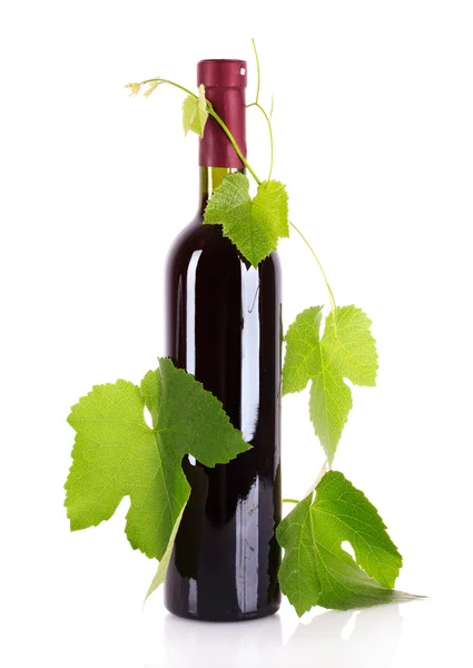 ワインのボトル白で隔離される葉を持つ — ストック写真