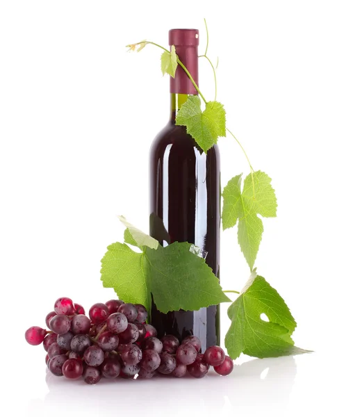 Şişe şarap ve üzüm üzerine beyaz izole — Stok fotoğraf