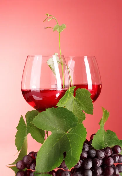 Botella de vino y copa sobre fondo rojo — Foto de Stock