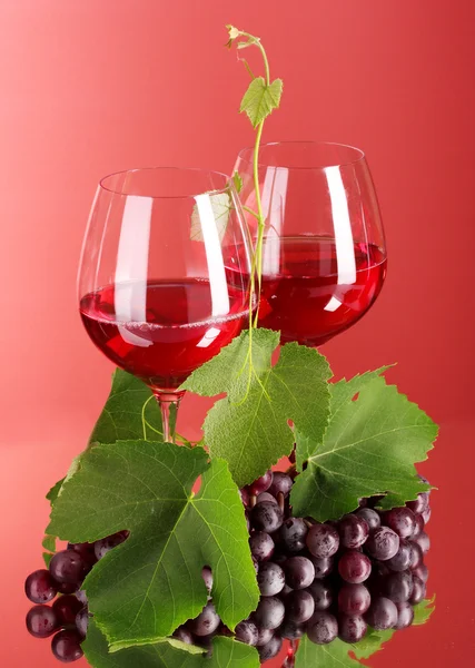 Şarap şişesi ve kırmızı zemin üzerine cam — Stok fotoğraf
