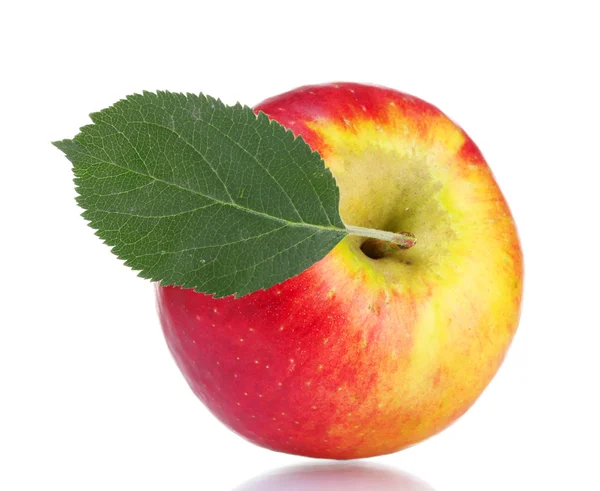 신선한 익은 사과 — 스톡 사진