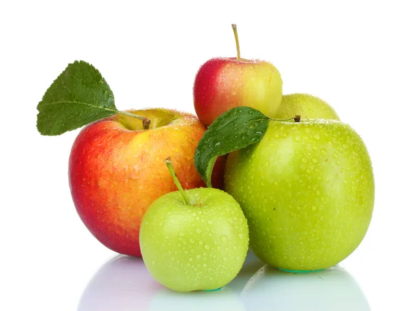 Багато свіжих стиглих яблук — стокове фото