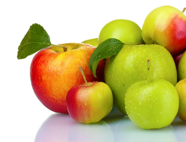 Mnoho čerstvých zralých jablek — Stock fotografie