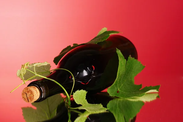 Vin et fruits sur fond rouge — Photo