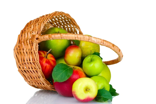 Korg med färska mogna äpplen — Stockfoto