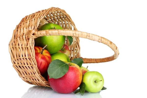 Корзина свежих спелых яблок — стоковое фото
