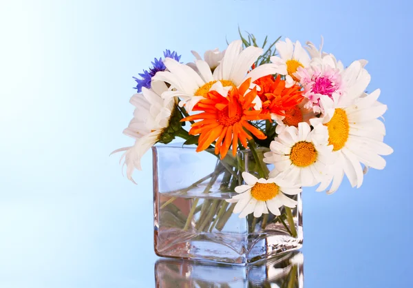 Bloemen in glas op blauwe achtergrond — Stockfoto