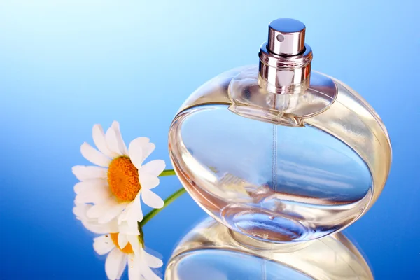 Perfume e flores em fundo azul — Fotografia de Stock