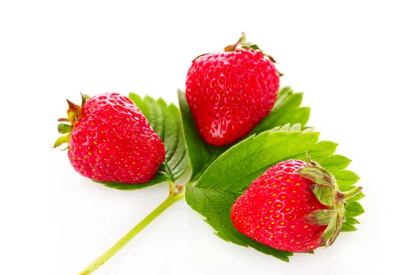 Strawberry with green leaves isolated on white — Stock Photo, Image