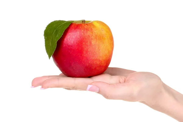 Mulher mão holdig maçã — Fotografia de Stock