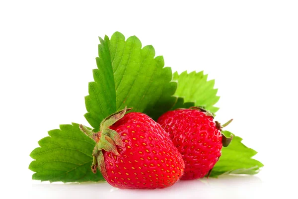Zwei schöne Erdbeeren mit grünen Blättern isoliert auf weiß — Stockfoto