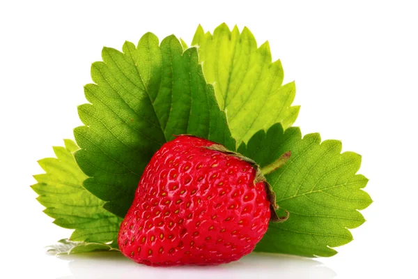 stock image Strawberry with green leaves isolated on white