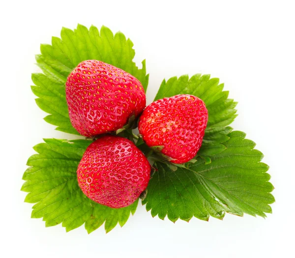 녹색 잎이 흰색 절연 딸기 — 스톡 사진