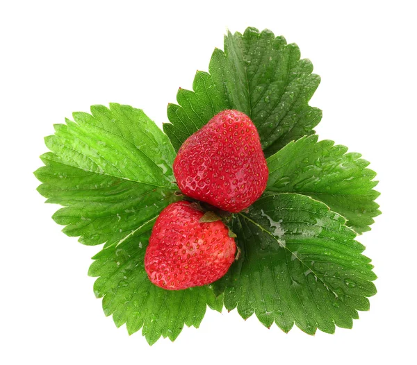 Two beautiful strawberries with green leaves isolated on white — Stock Photo, Image