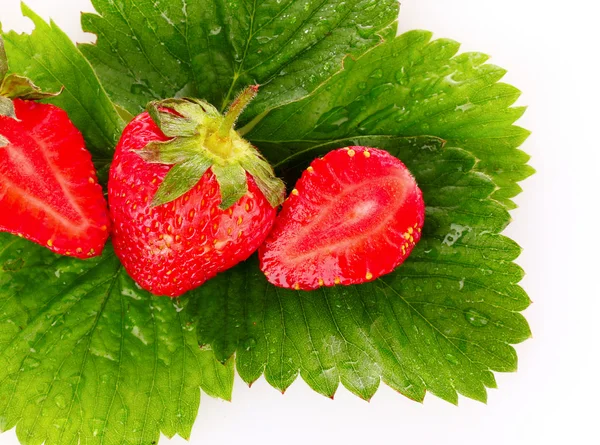 Erdbeere mit grünen Blättern isoliert auf weiß — Stockfoto