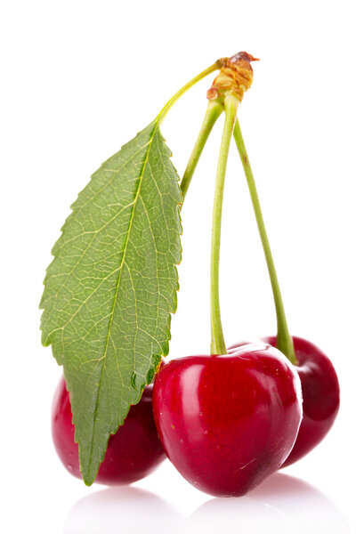Cherries with leaf isolated on white background