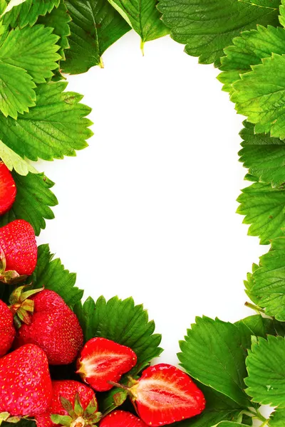 Beaucoup de fraises et de feuilles fait cadre — Photo