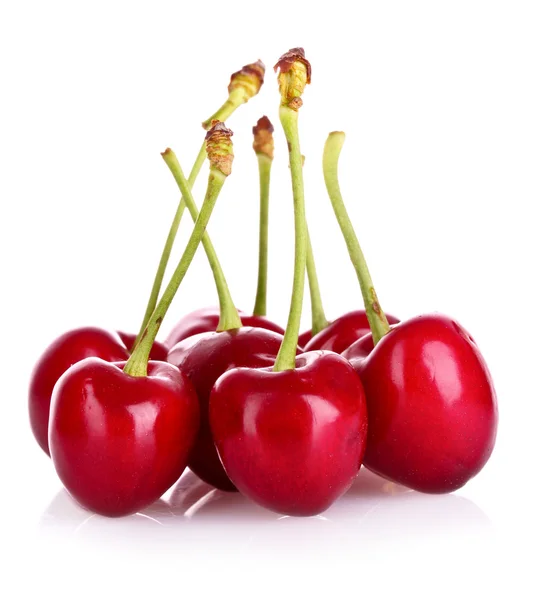 Cherries isolated on white background — Stock Photo, Image