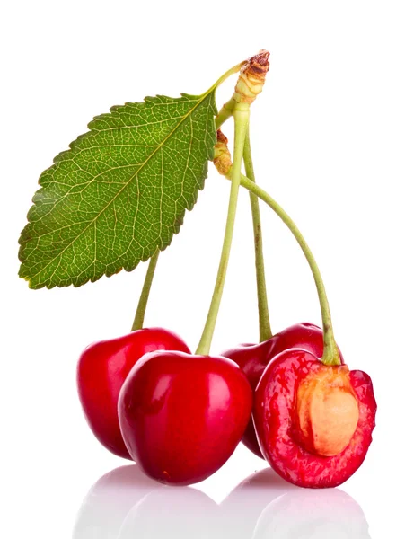Cherries isolated on white background — Stock Photo, Image