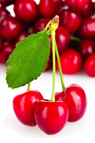 stock image Cherries isolated on white background