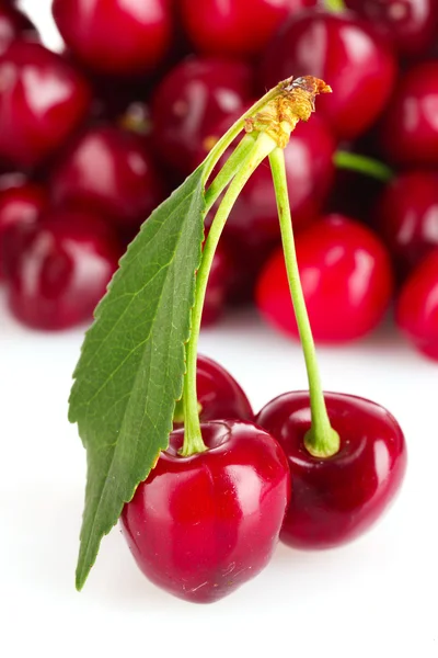 stock image Cherries isolated on white background