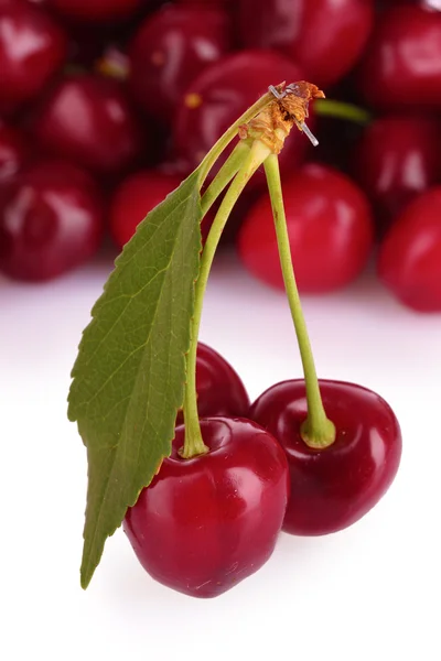 stock image Cherries isolated on white background