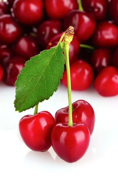 stock image Cherries isolated on white background