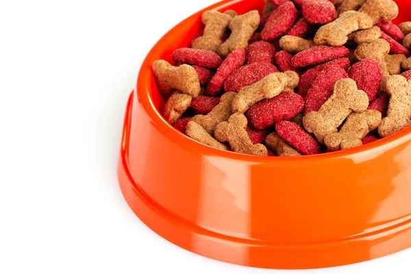Comida para perros en bowl — Foto de Stock